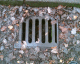 061030.D_Maesycwmmer1_t.gif