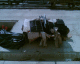 070222.D_seville9_t.gif