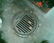 070320.Drain1_t.gif