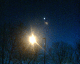 070219.Moon3_t.gif