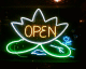 050815.neon3_t.gif