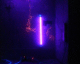 060313.pink1_t.gif