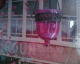 060320.Pink4_t.gif