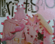 060520.P_cutouts_t.gif