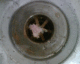 050701.Plug1_t.gif