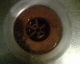 050701.Plug2_t.gif