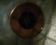 050701.Plug3_t.gif