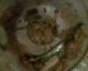 050701.Plug8_t.gif