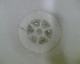 050710.MacSuds_t.gif