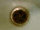 050719.Wenlok2_t.gif