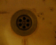 050728.goosecamdn2_t.gif