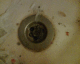 050728.goosecmdn4_t.gif