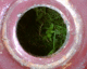050809.GilfachP2_t.gif