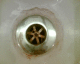 050814.shish2_t.gif