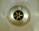 050814.shish3_t.gif