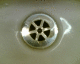 050816.NatMusWales2_t.gif
