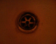 050825.charliewrights1_t.gif