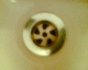 050919.DavidAnthony_t.gif