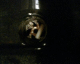 051001.VibeBarPlug_t.gif