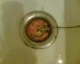 051008.aliceplug_t.gif