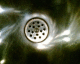 051011.PizaExp1_t.gif