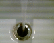 051216.Plug4_t.gif
