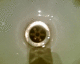 051216.Plug9_t.gif