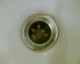 060114.pizza_Ex1_t.gif