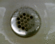 060130.Florida2_t.gif