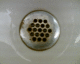 060130.Florida4_t.gif