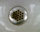 060130.Florida5_t.gif