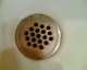 060130.Florida_t.gif