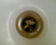060130.caracas3_t.gif
