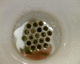 060205.dallas_plug1_t.gif