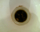 060207.Debbie1_t.gif