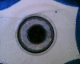 060207.Frida_Kahlo_t.gif
