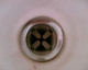 060207.Trotsky1_t.gif