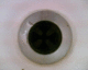060207.Trotsky2_t.gif