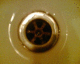 060328.P_BrasserieCF3_t.gif