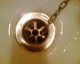 060328.P_stationCF_t.gif