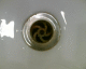 060401.P_Heathrow1_t.gif