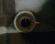 060404.P_trotsky3_t.gif