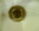 060406.P_Sanbourne1_t.gif