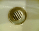 060406.P_Sanbourne2_t.gif
