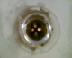 060409.P_Acapulco3_t.gif