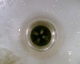060412.P_Antropologica2_t.gif