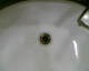 060412.P_Antropologica5_t.gif