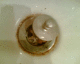 060424.P.blindbeggar_t.gif