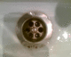 060427.P_genesis1_t.gif