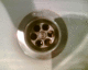 060427.P_genesis_t.gif